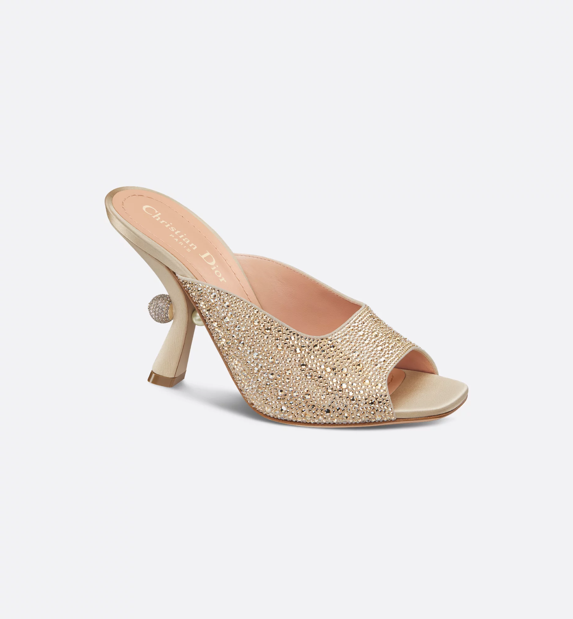 Dior Or Dior Tribales Heeled Slide - Image 1